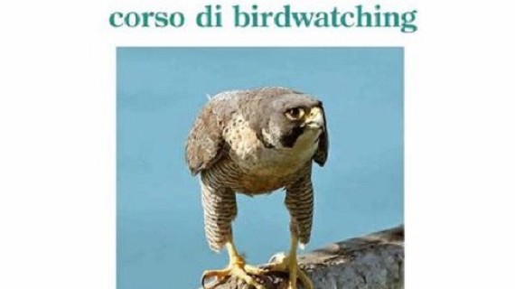 Portofino Birding - 2012