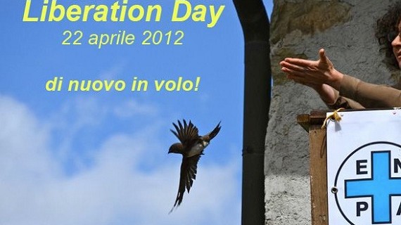 Liberation Day - 2012
