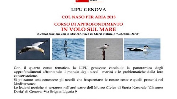Corso LIPU 2013: in Volo sul Mare